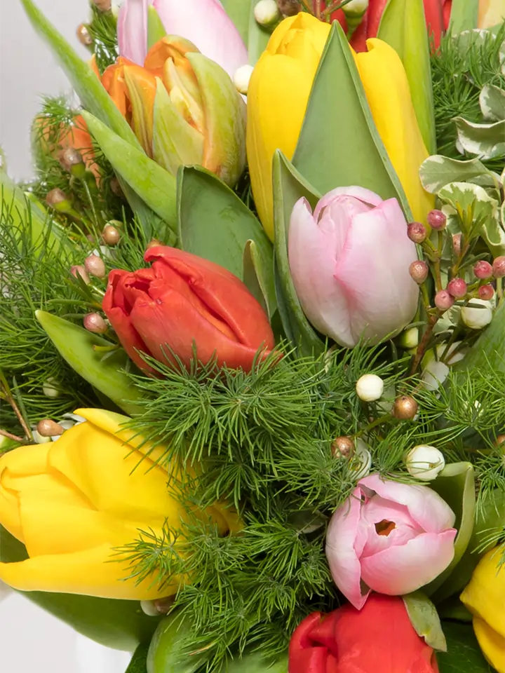 Bouquet tulipani colorati macro